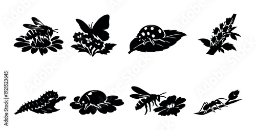 Various insects on flowers and leaves in garden icons