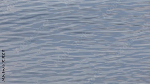 Clear turquoise water surface with gentle ripples reflecting natural sunlight. A peaceful water texture for use in backgrounds. Wavy water surface during sunset, golden light reflecting in the water
