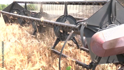 Close-up of combine harvester header detail with metal mechanism and wires. Head of combine harvester machine with reel and cutting gear raised working in wheat field in summer cutting barley and whea