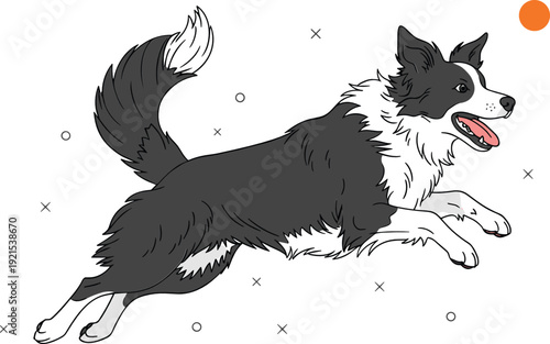 Border collie dog running and jumping energetic pet flat vector illustration isolated on light background