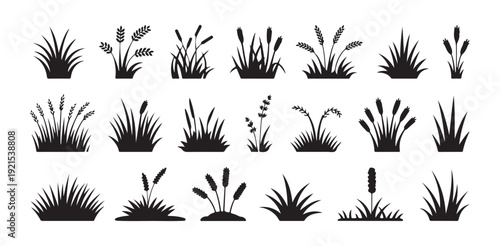 Collection of vector grass and reed silhouettes for natural scenery and spring themes