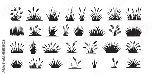Group of black silhouette grass and weed clumps for landscaping ground cover and wild environment design