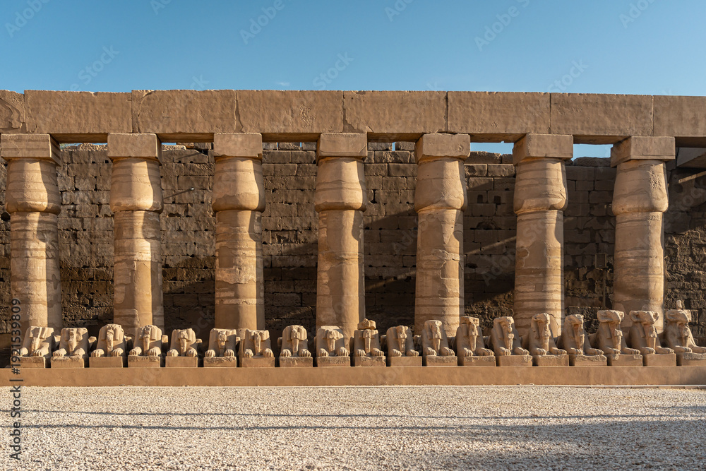Fototapeta premium Row of ram-headed sphinxes under a massive stone colonnade at Karnak Temple Complex, Luxor, Egypt