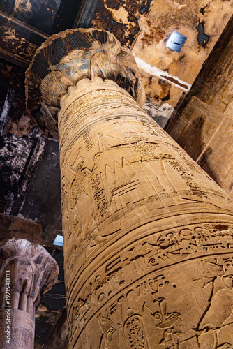 Photos Colossal Sandstone Column with Hieroglyphics and Floral Capital Under an Ancient