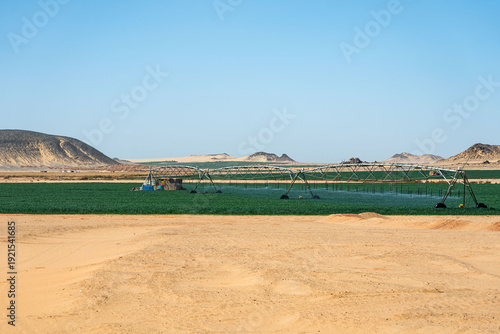 Photos Center Pivot Irrigation System in Toshka Project Desert Reclamation near Abu Sim