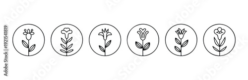Flower line icons in circular frames showing different botanical species with leaves and stem