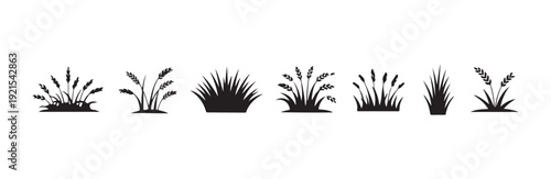 Assortment of wild grasses and cereal crops black icons on white background