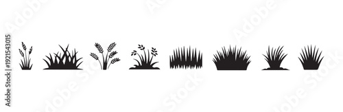 Collection of various grass and cereal plants silhouette isolated on white background