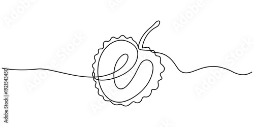 Single one line drawing peeled healthy organic lychee for orchard logo identity. Fresh tropical fruitage concept for fruit garden icon. Modern continuous line draw design graphic vector illustration