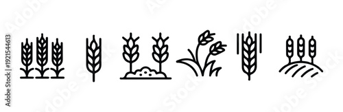 Outline icons showing stalks of wheat grain crops growing in field for harvest agriculture