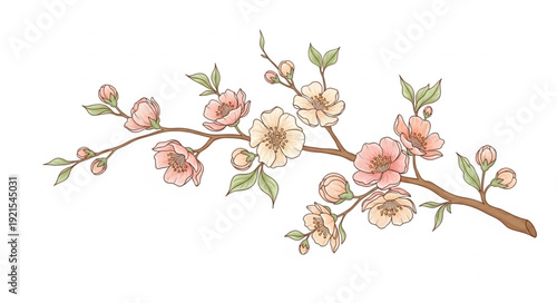 Watercolor Painting of Cherry Blossom Branch.