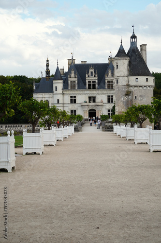 Scenic view of the Château de Chenonceau spanning the River Cher. Iconic French Renaissance architecture with elegant arches, historic galleries, and landscaped surroundings in the Loire Valley