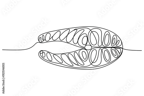 Salmon Steak Continuous Line Drawing Minimalist Food Art Healthy Cuisine Concept