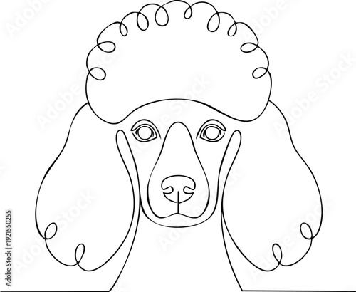Vector illustration of Elegant poodle dog head in continuous line art style isolated on white background 