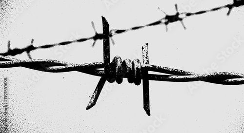 barbed wire fence, security, danger, protection, steel, sharp, metal