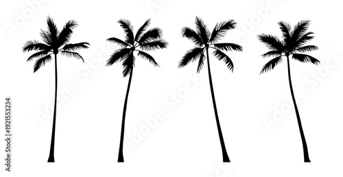 Vector set of black realistic silhouettes of palm trees isolated on white background