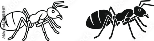 Set of black and white ant icons in line art and solid silhouette styles for pest control insect biology and nature education concepts