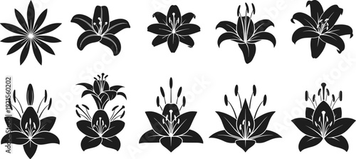 Black vector silhouette of two large frogs facing each other for pond nature wildlife environmental conservation and aquatic animal husbandry branding design set