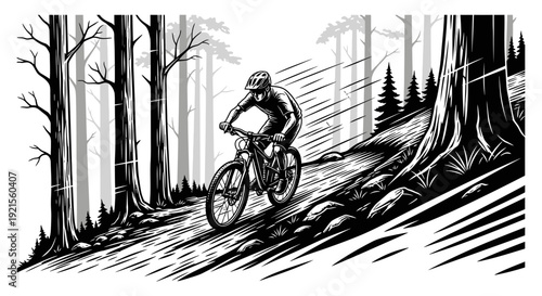 Mountain Biker Riding Downhill in Forest Vector Illustration