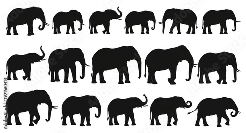 Collection of Elephant Silhouettes in Various Poses.