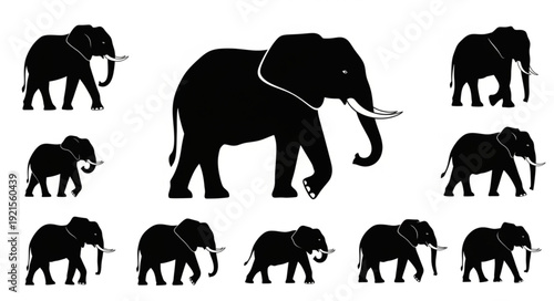 Collection of Elephant Silhouettes in Various Poses.