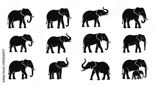 Collection of Elephant Silhouettes in Various Poses.