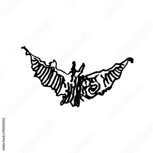 bat on a white background
