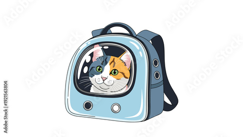 Cute calico cat looking through the window of a blue astronaut style pet carrier backpack on a white background.