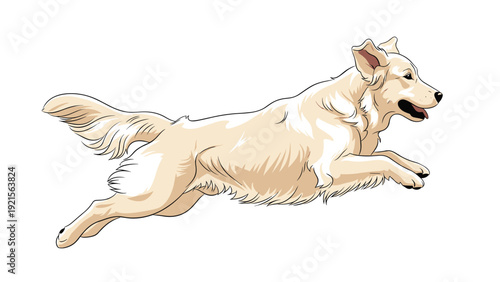Side view illustration of a golden retriever dog running with its ears and tail flying back on a white background.