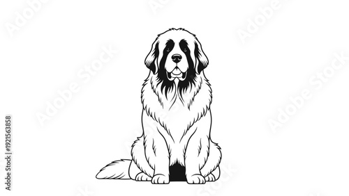 Saint Bernard dog sitting calmly in a classic black and white hand drawn illustration for pet lovers and canine enthusiasts.
