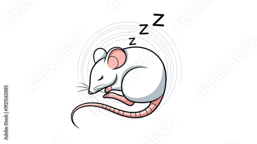 White mouse sleeping peacefully in a curled position with dream symbols in a cute colorful cartoon style vector illustration.