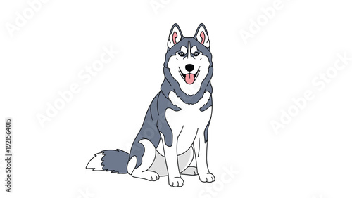 Siberian husky dog illustration sitting calmly on a white background showing its distinctive gray and white coat and markings.