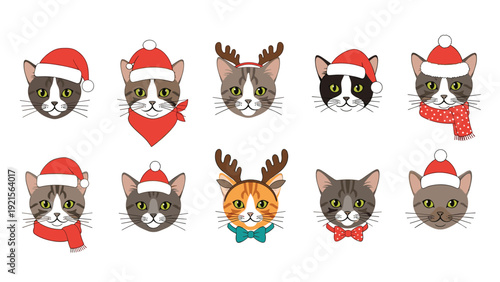 Festive christmas cat faces collection featuring kittens wearing santa hats reindeer antlers and winter scarves for holidays.