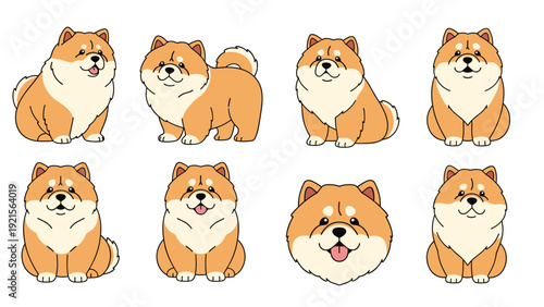 Collection of adorable chow chow dog characters in various poses including sitting standing and head portrait for pet lovers.