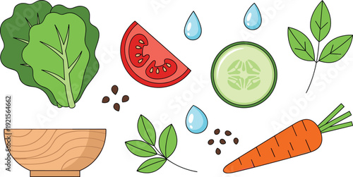 Fresh salad ingredients and vegetables set, flat vector illustrations with green lettuce leaves, tomato slice, cucumber, carrot, wooden bowl and water drops isolated on white background.