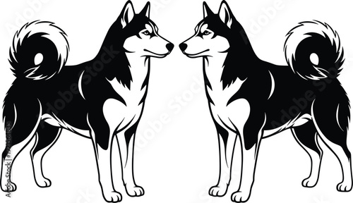 Siberian husky dog silhouette icon set with two standing pets facing each other in profile cad drawing flat vector illustration medical icon