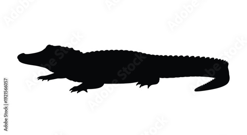 Black silhouette of an alligator lying down in a side view