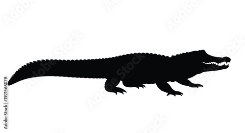 Silhouette of an alligator resting on a white background