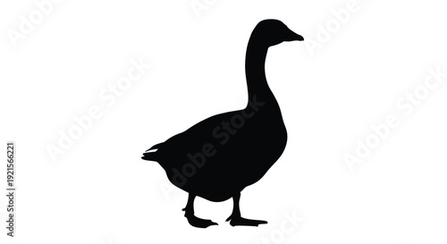 Silhouette of a goose standing in profile against a white background