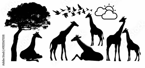 African Savannah Silhouette A captivating collection of giraffes grazing and migrating under a watchful flock of birds and stylized clouds