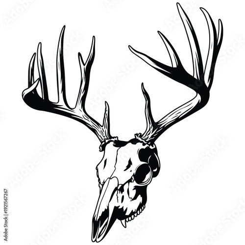 deer head silhouette