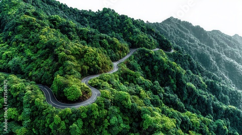 Curvy mountain road snaking through dense green forest  Mountain