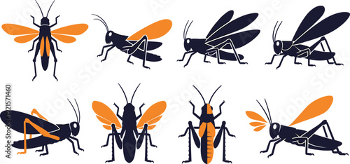 Grasshoppers and insects set, flat vector illustrations of black and orange grasshoppers in various poses and flight isolated on white background.