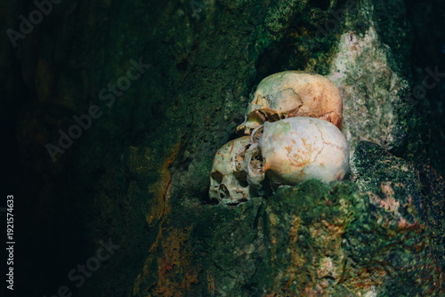 Ancient Human Skull Inside Londa Burial Cave, Toraja, South Sulawesi, Indonesia
