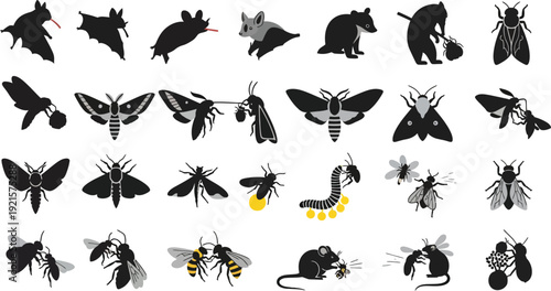 Collection of various animal and insect silhouettes on white background for design