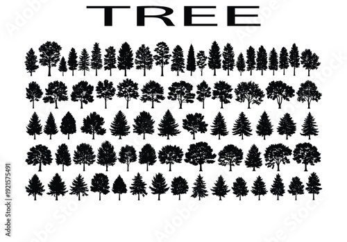 Silhouette of a person reaching for the stars against a vibrant, cosmic night sky, symbolizing dreams, ambition, and aspiration.