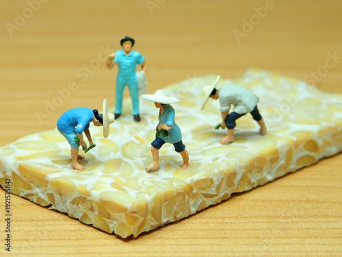 Mini toy of action figure at table with blur background. Miniature photography concept design. Minifigure of farmer crew character with tempe. Agriculture theme at farmland. Tempe is traditional food.