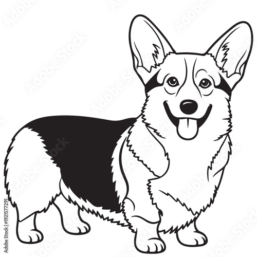 Cute pembroke welsh corgi standing, black and white vector illustration for coloring book