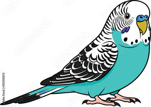 Budgerigar Parrot Illustration with Detailed Feathers, Cute Pet Bird Concept for Animal Design, Wildlife Graphics, and Ornithology Themes