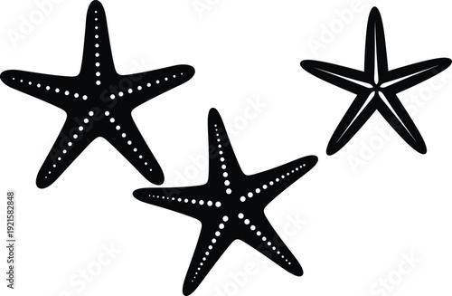 Starfish silhouette vector set with decorative sea star shapes, black marine ocean illustration isolated on white background